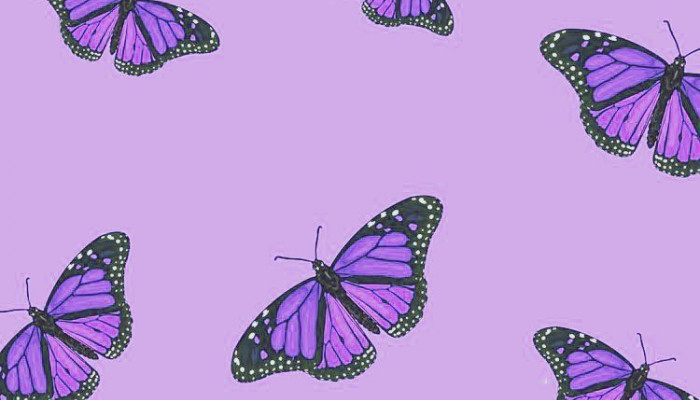 purple butterfly Wallpaper