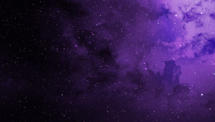 Dark Purple Wallpaper