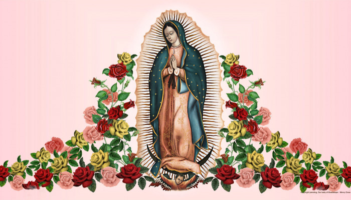 Our Lady of Guadalupe Wallpaper