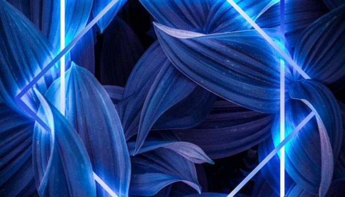 neon blue Wallpaper