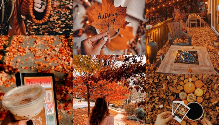 fall collage Wallpaper