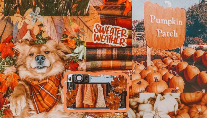 fall collage Wallpaper