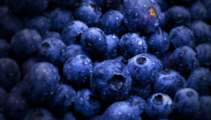 Blueberry Wallpaper