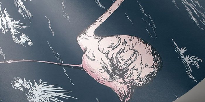 1000x1000 Flamingos by Cole & Son - Alabaster Pink and Ink Blue - Wallpaper -  112/11041