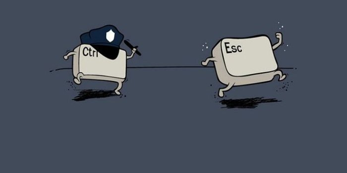 736x1309 Funny Phone Wallpapers