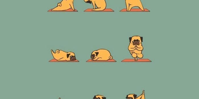 1080x1920 86+ Funny Iphone Wallpapers on WallpaperPlay