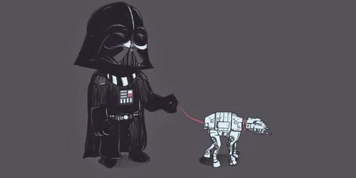 699x1308 1000+ Ideas About Funny Iphone Wallpaper On Pinterest | Iphone
