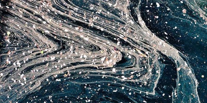 736x1308 10 Super Pretty iPhone X Wallpapers | Preppy Wallpapers