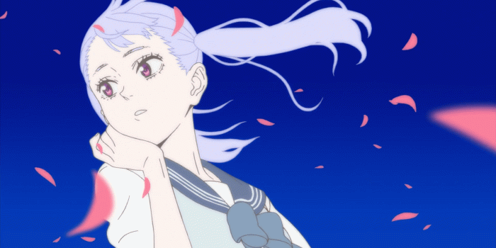 1920x1080 Wallpaper : Black Clover, anime girls, blue background 1920x1080