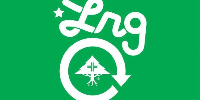 800x1421 Original Print Liftedresearchgroup - Lrg (#534076) - HD Wallpaper