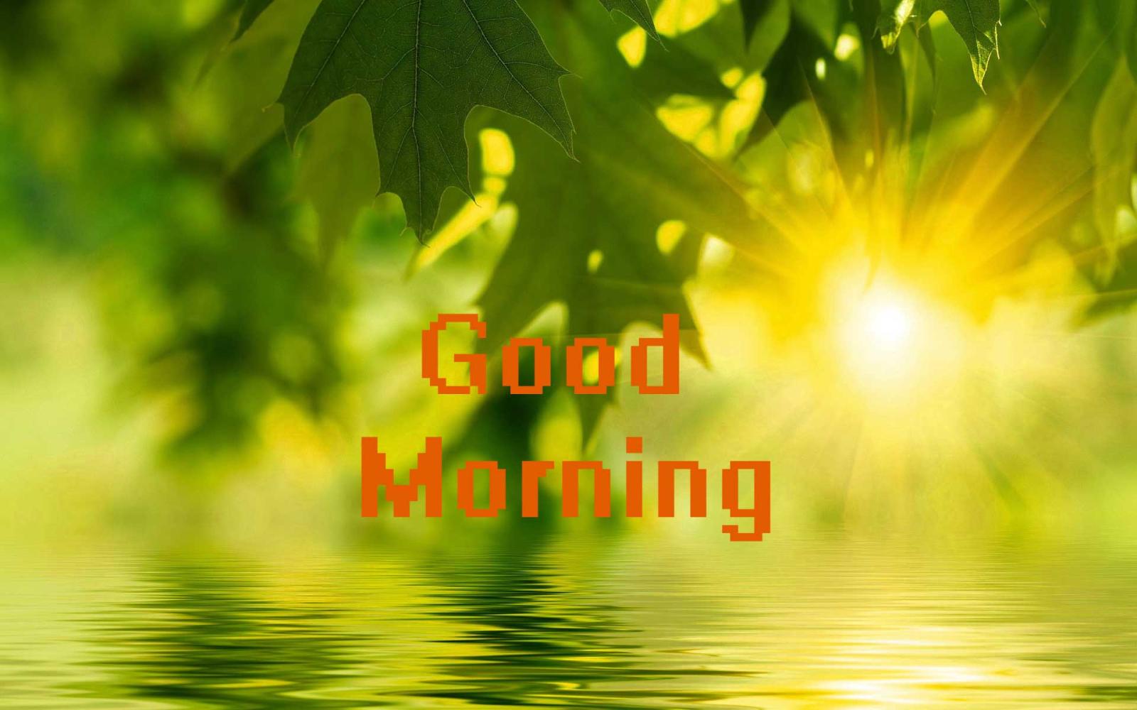 1920x1200 Good Morning Sunshine Nature Photo - Whatsapp Good Morning Nature