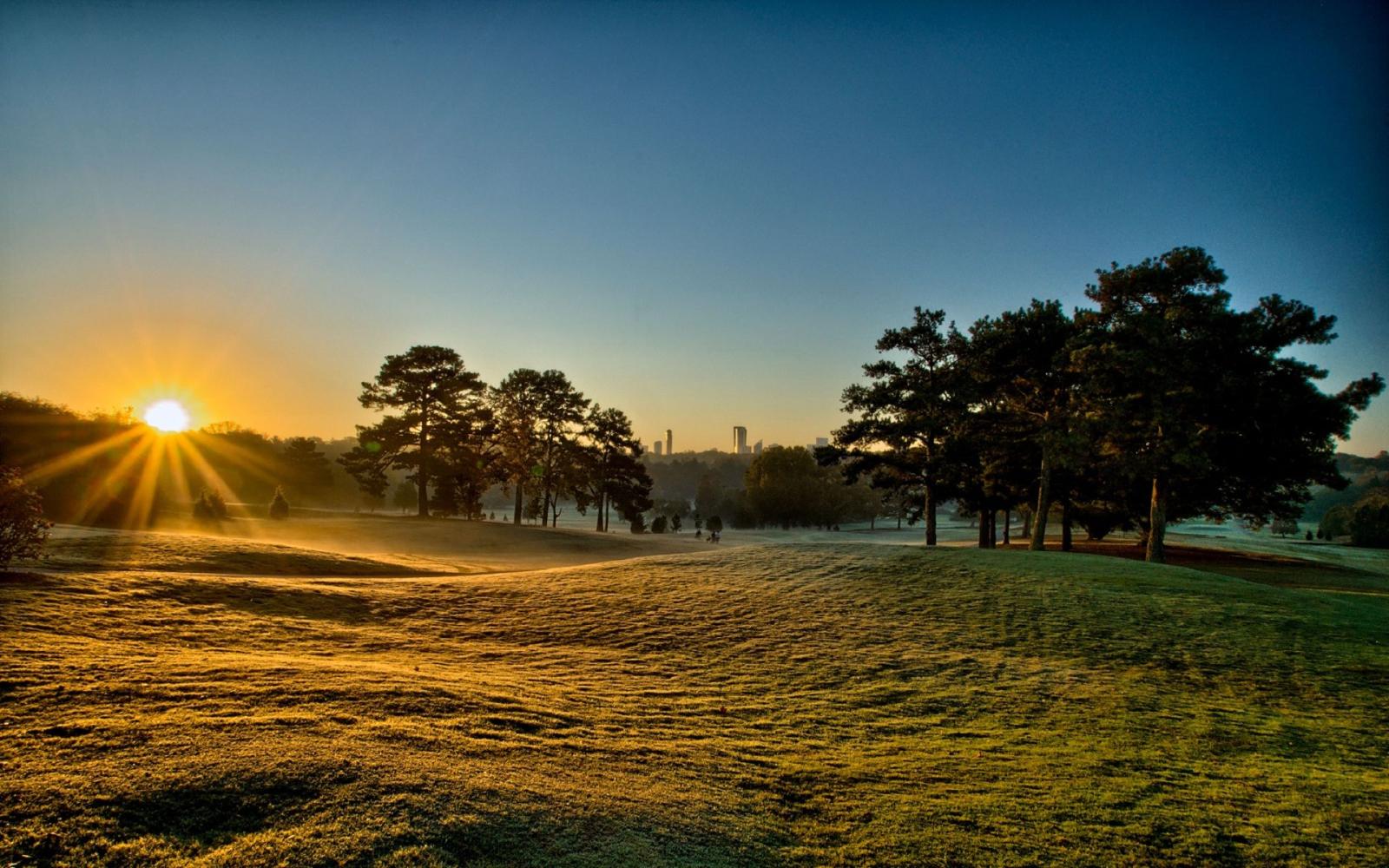 1920x1200 Good morning sunshine and greenery wallpaper | HD Wallpapers Rocks