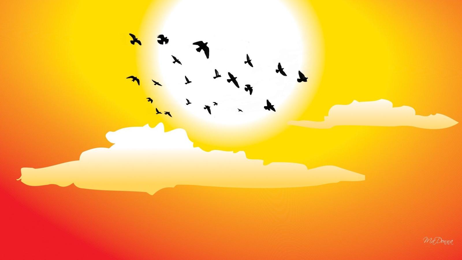 1920x1080 Theme Bin» Blog Archive » Good Morning Sunshine HD Wallpaper 1920x1080