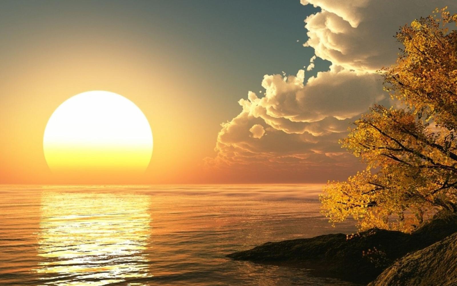 1920x1200 sunshine in the morning wallpaper
