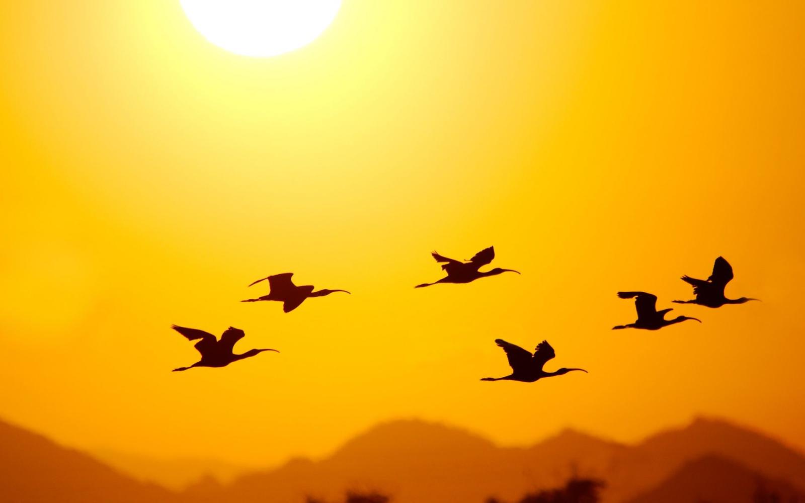 1920x1200 Images Of Good Morning Sunshine | Free download best Images Of Good