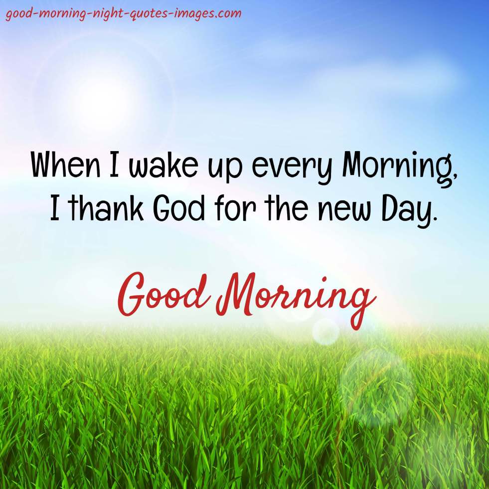 981x981 Best Good Morning Images Pics of 2019 (May Update)