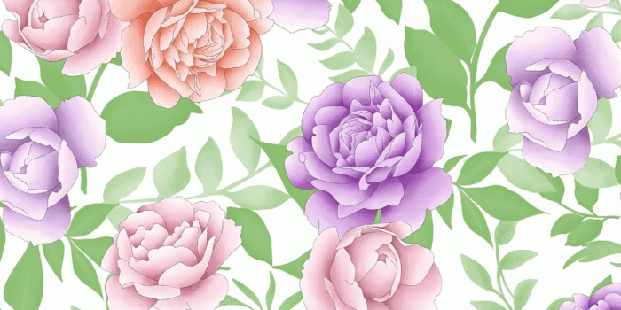 1242x2208 Flower Background Wallpaper Tumblr