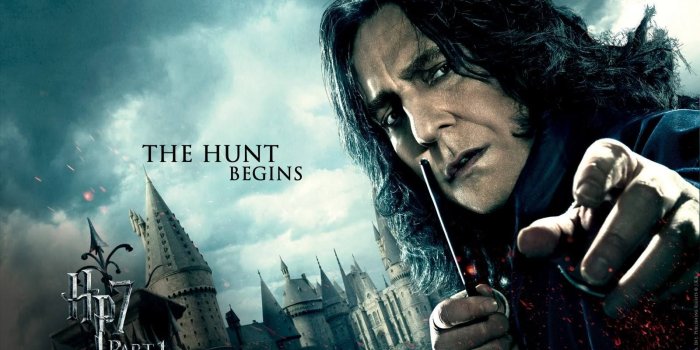 1600x1000 snape wallpaper Gallery