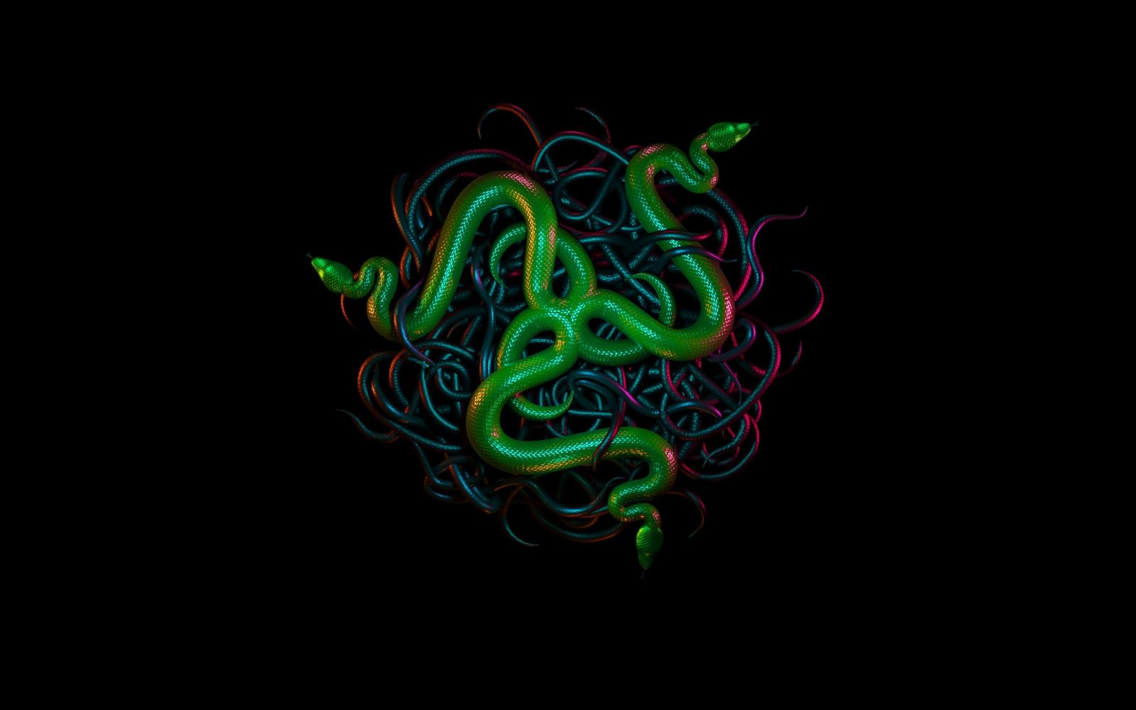 2560x1600 Wallpaper of Technology, Razer, Logo, Snake background & HD image