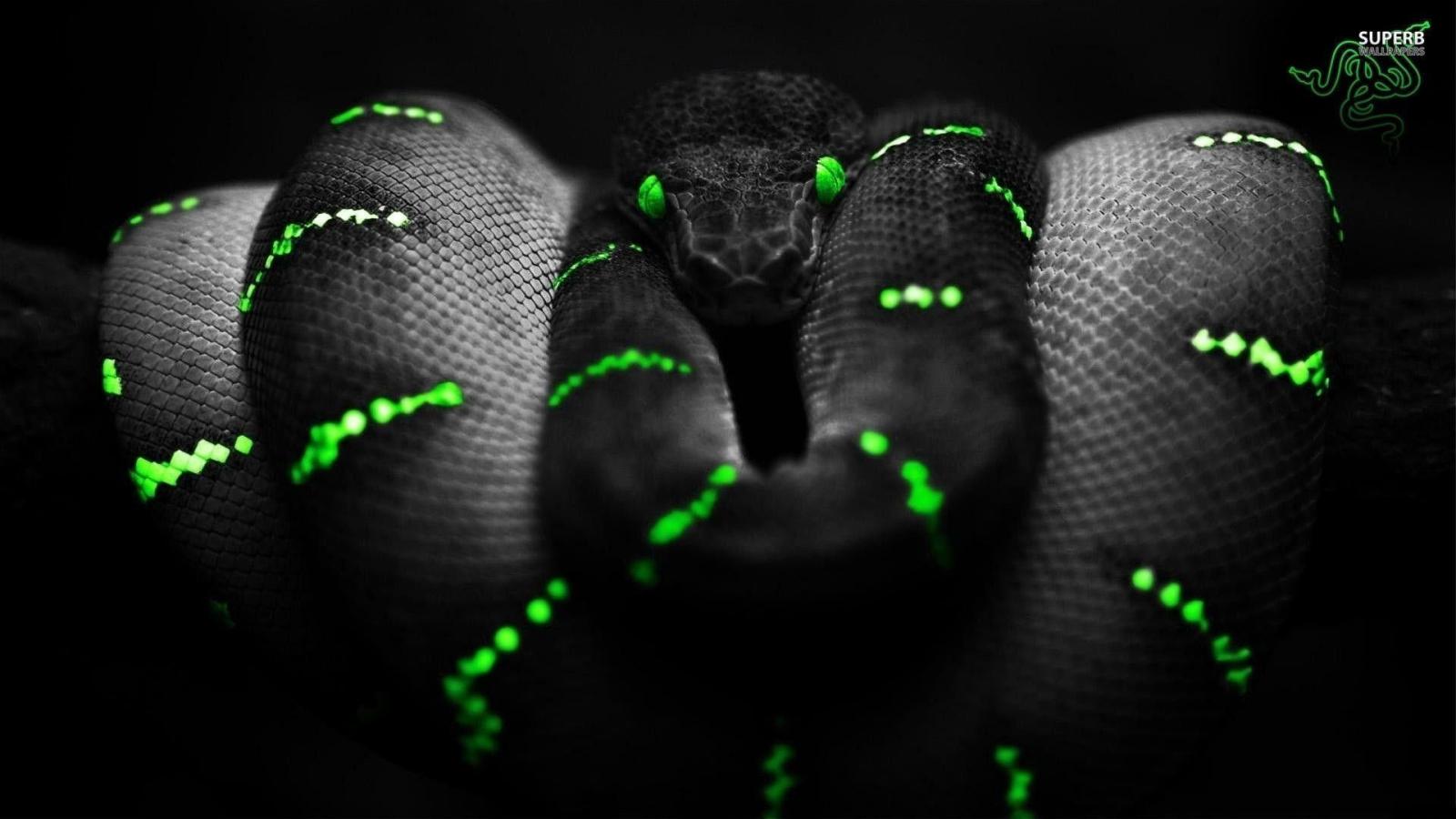 1920x1080 Razer Wallpapers HD (84+ background pictures)