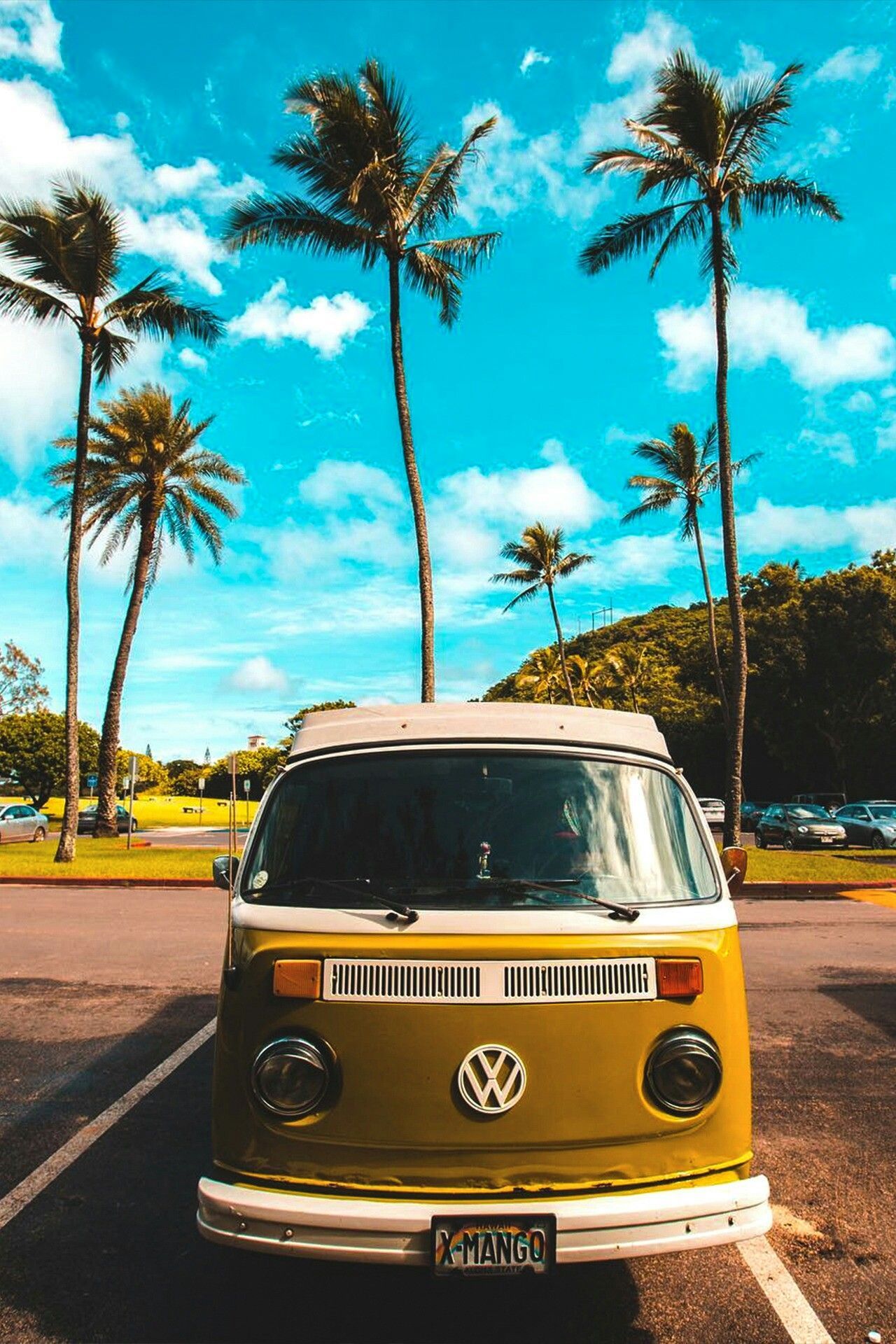 1280x1920 Van Wallpapers