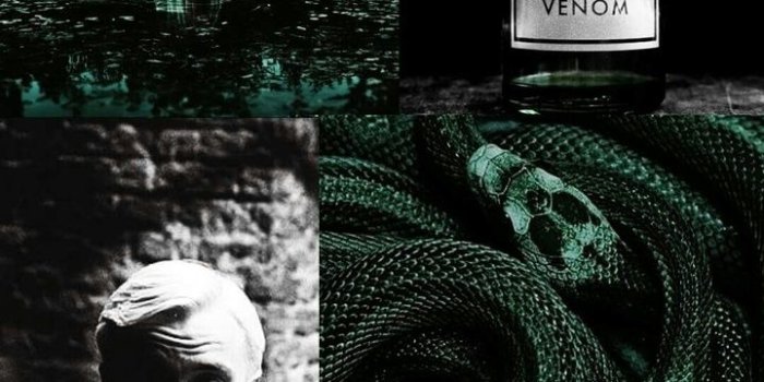 720x1280 Slytherin Wallpaper - Slytherin Wallpaper Draco Malfoy Free