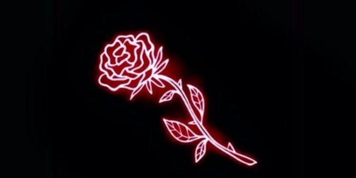 750x1332 Ꭺ on playlist covers in 2019 | Neon wallpaper, Red wallpaper