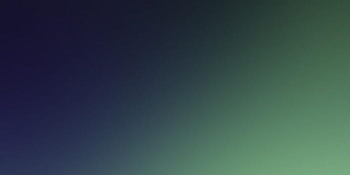 1024x1024 Download The Best iPhone XS Max Wallpapers: Check Them Out