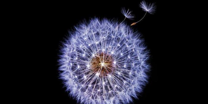 940x940 Samsung Galaxy S9/S9+ all stock wallpapers in high resolutions