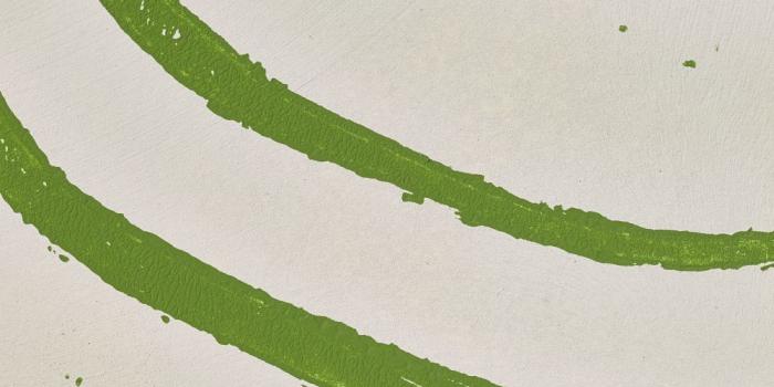 1000x1250 Adrienne Neff: Handprinted Wallpaper ‹ Architects and Artisans