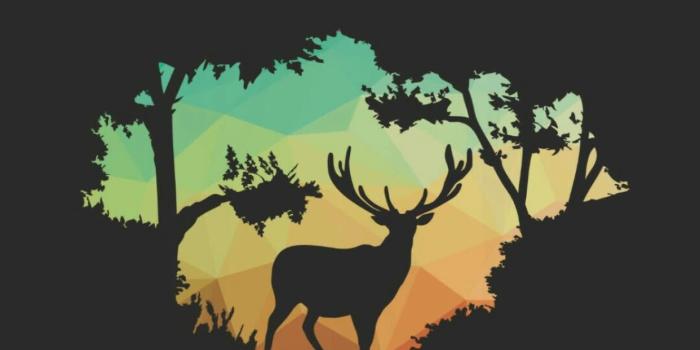 1242x2208 Neff Wallpapers (191+ images in Collection) Page 1