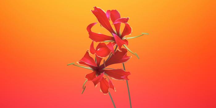 5120x2880 IOS 11 1080P, 2K, 4K, 5K HD wallpapers free download | Wallpaper Flare