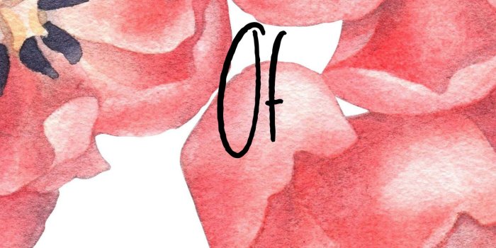 1440x2960 Prince Of Peace Medium Pink White Floral Flower Christian Mobile