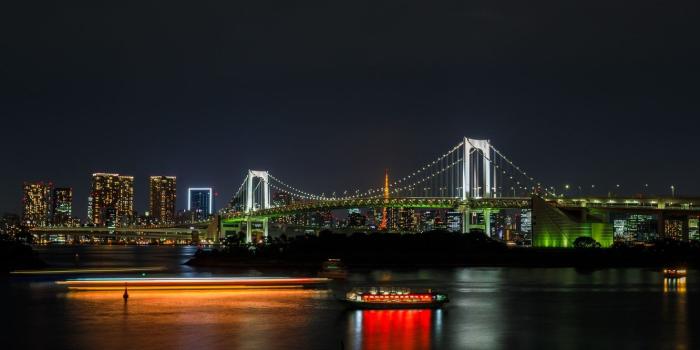 1332x850 Wallpaper Night, The city, Japan, House, Building, City, House, The