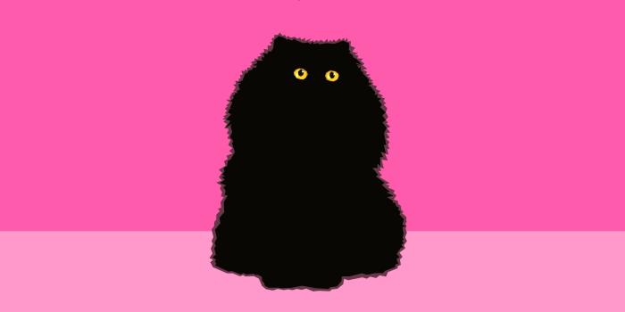 3427x2284 5067431 Minimalist, Digital Art, Pink, Artistic, Persian Cat