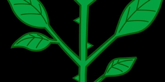 1899x3521 Dope Tumblr Backgrounds (83+ images)