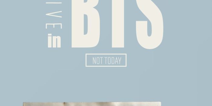 736x1137 53613953 IT'S LIT | BTS • Bangtan Boys • Bulletproof Boy Scouts 방탄