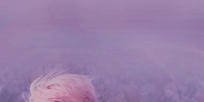 1600x2839 Best 73+ bts not today wallpaper HD Wallpaper [] beautifull.icu