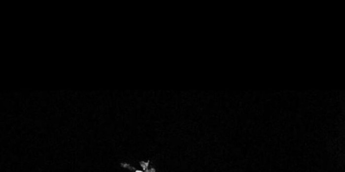 1242x2537 Carti and uzi wallpaper/lock screen : playboicarti