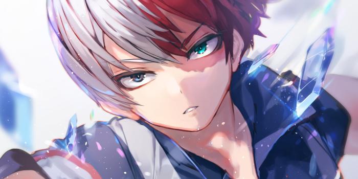 2560x1600 Todoroki Wallpaper Hd Android | Best Funny Images