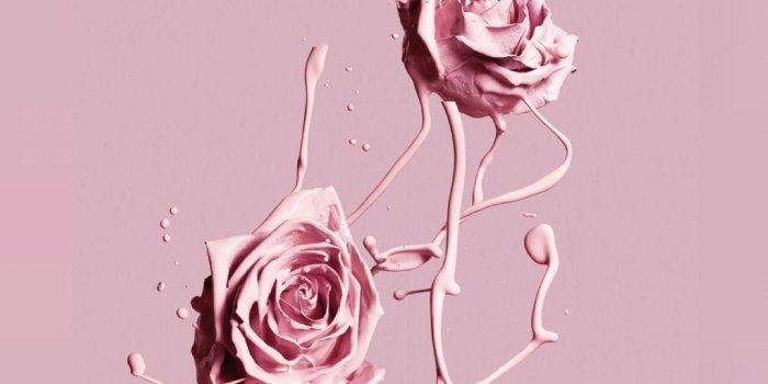 1242x2208 aesthetics #flowerswallpaperiphone | Flower in 2019 | Pink wallpaper