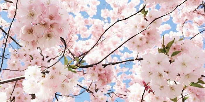 1024x1280 Upptäck och dela de allra vackraste bilderna från hela världen