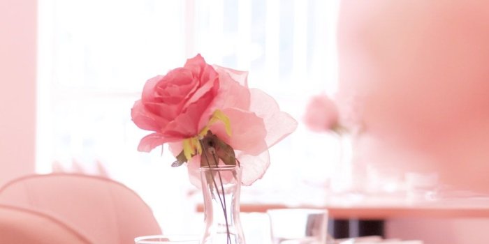 1000x1500 Aesthetic Wallpaper | 100+ best free wallpaper, flower, minimal and