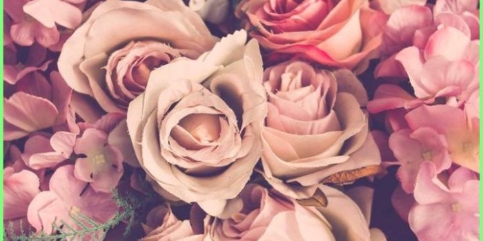 720x1332 Iphone Wallpaper Aesthetic - flowers | floral | blooms | bunch of