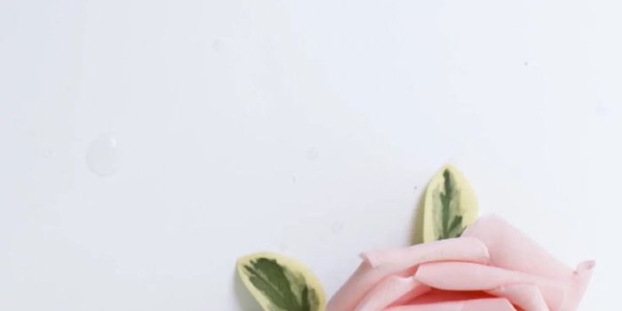 736x1308 Aesthetic Flower Wallpapers For Iphone