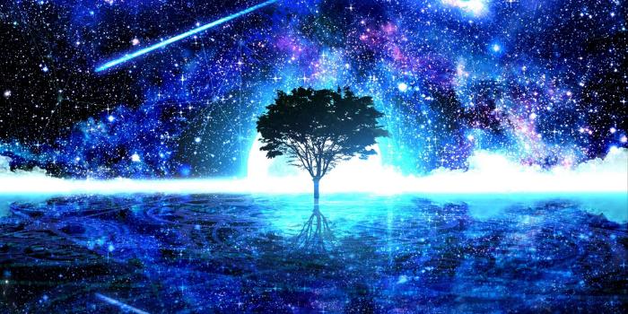 1920x1080 Download wallpaper 1920x1080 tree, shine, art, stars, bright full hd