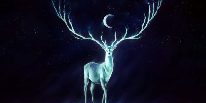 1020x783 Patronus Wallpapers