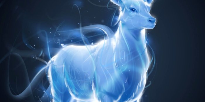 1264x1624 Patronus Wallpapers
