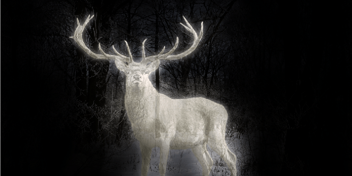 1043x765 Patronus Wallpapers