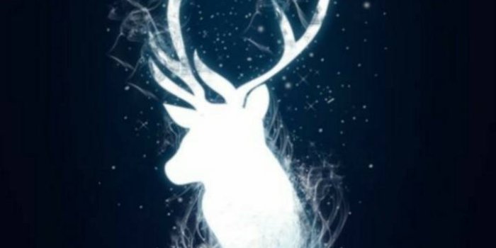 720x1280 HarryPotter Patronus Wallpaper by GreyWolff2504 - dc - Free on ZEDGE™